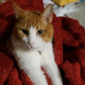 Meet your Posher, Caitlin